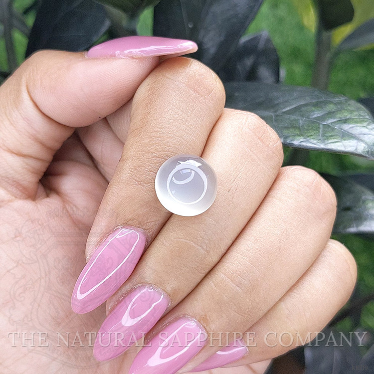 6.00 Ct. Cabochon Moonstone from Ceylon (Sri Lanka)