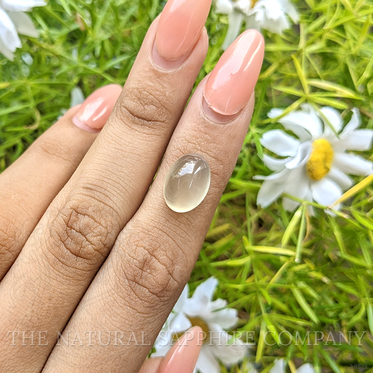7.45 Ct. Cabochon Moonstone from Ceylon (Sri Lanka)