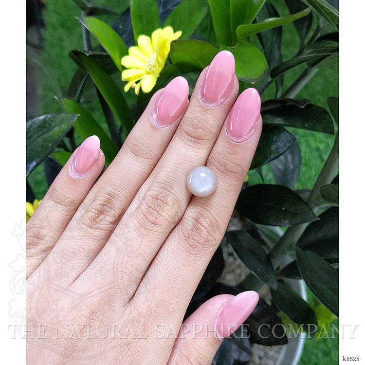 5.09 Ct. Cabochon Moonstone from Ceylon (Sri Lanka)