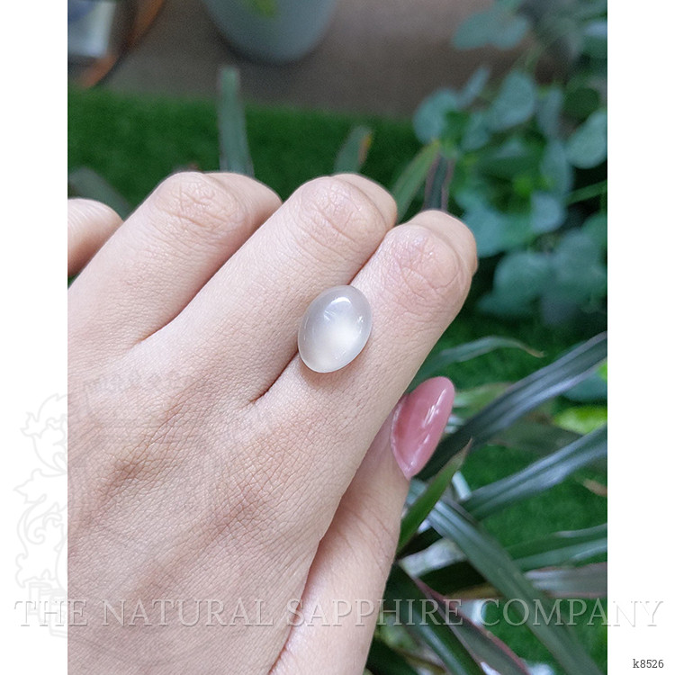 7.66 Ct. Cabochon Moonstone from Ceylon (Sri Lanka)