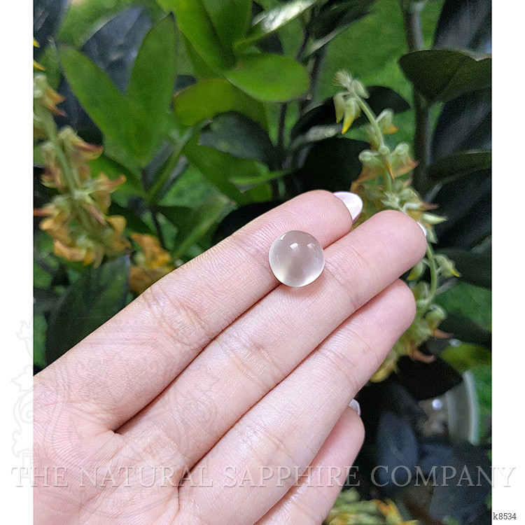 8.01 Ct. Cabochon Moonstone from Ceylon (Sri Lanka)