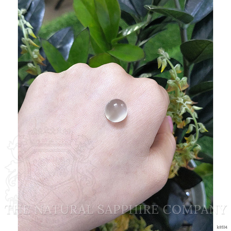 8.01 Ct. Cabochon Moonstone from Ceylon (Sri Lanka)