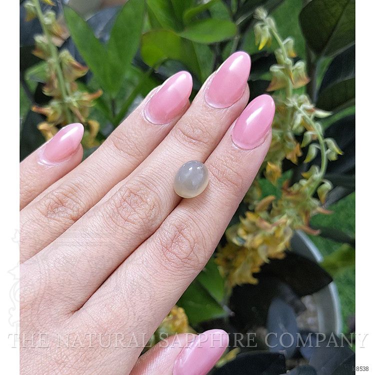 7.13 Ct. Cabochon Moonstone from Ceylon (Sri Lanka)