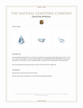 0.94 Ct. Aquamarine from Mozambique Appraisal