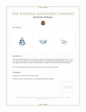0.94 Ct. Aquamarine from Mozambique Appraisal