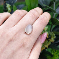 7.70 Ct. Cabochon Moonstone from Ceylon (Sri Lanka) Life Style