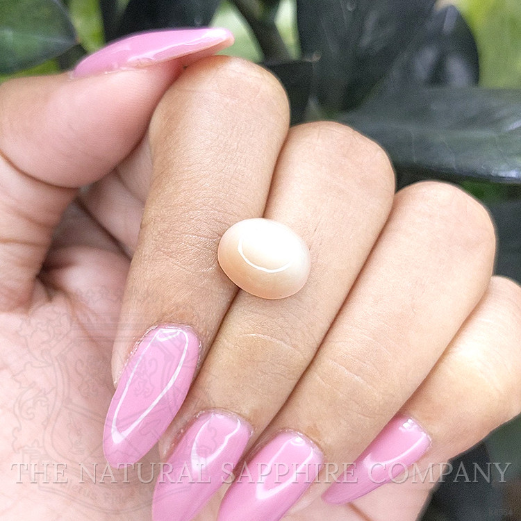 4.49 Ct. Cabochon Moonstone from Ceylon (Sri Lanka)