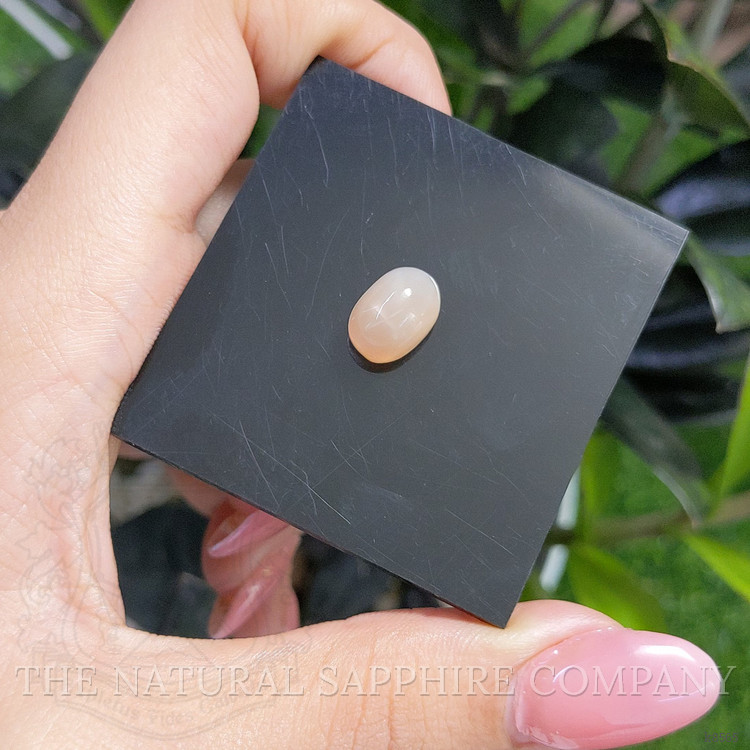 5.51 Ct. Cabochon Moonstone from Ceylon (Sri Lanka)