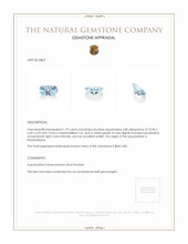 1.79 Ct. Aquamarine from Mozambique Appraisal