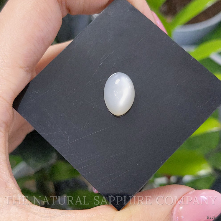 6.19 Ct. Cabochon Moonstone from Ceylon (Sri Lanka)