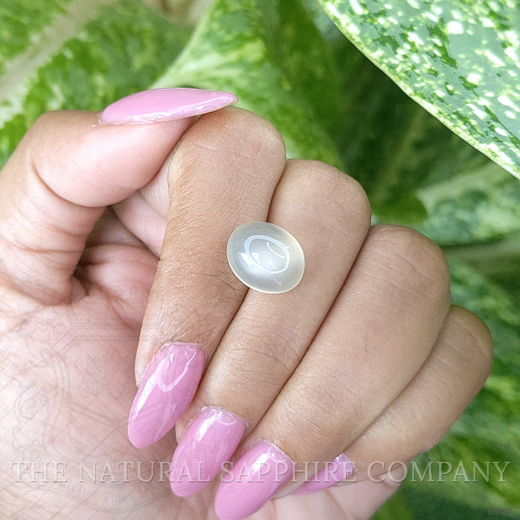 8.14 Ct. Cabochon Moonstone from Ceylon (Sri Lanka)