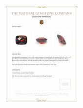 2.68 Ct. Garnet from Ceylon (Sri Lanka) Appraisal