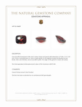 2.88 Ct. Red Garnet from Ceylon (Sri Lanka) Appraisal