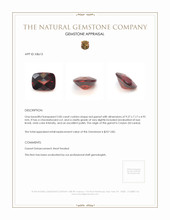 2.85 Ct. Garnet from Ceylon (Sri Lanka) Appraisal