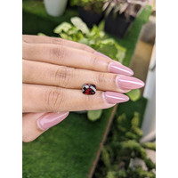 2.49 Ct. Garnet from Ceylon (Sri Lanka) Life Style
