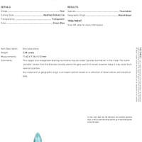 2.48 Ct. Paraiba Tourmaline from Mozambique Scan Report