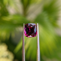 4.82 Ct. Garnet from Tanzania Life Style