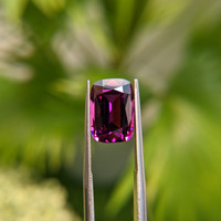 7.42 Ct. Garnet from Tanzania Life Style