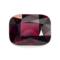 17.36 Ct. Garnet from Tanzania Video