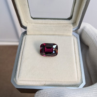 17.36 Ct. Garnet from Tanzania Life Style
