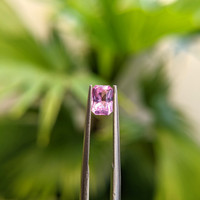 0.76 Ct. Spinel from Tanzania Life Style