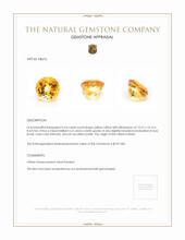 6.64 Ct. Citrine from Brazil Appraisal