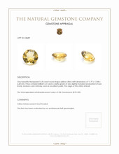 5.20 Ct. Citrine from Brazil Appraisal