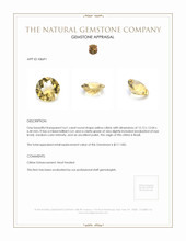 4.61 Ct. Citrine from Brazil Appraisal