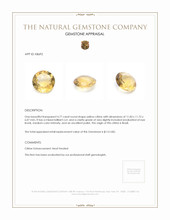 4.77 Ct. Citrine from Brazil Appraisal