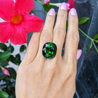 29.47 Ct. Tourmaline from Mozambique Life Style