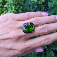 29.47 Ct. Tourmaline from Mozambique Life Style