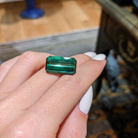 13.96 Ct. Tourmaline from Mozambique Life Style