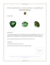 8.17 Ct. Tourmaline from Madagascar Appraisal