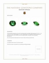 6.63 Ct. Tourmaline from Madagascar Appraisal