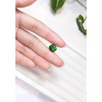 4.39 Ct. Tourmaline from Madagascar Life Style