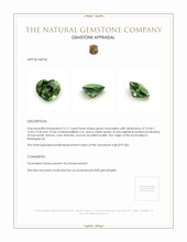 12.17 Ct. Tourmaline from Madagascar Appraisal