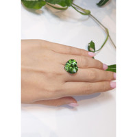 12.17 Ct. Tourmaline from Madagascar Life Style