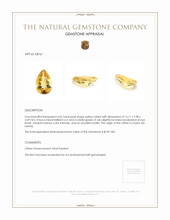 4.62 Ct. Citrine from Ceylon (Sri Lanka) Appraisal