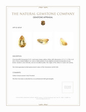 5.01 Ct. Citrine from Ceylon (Sri Lanka) Appraisal