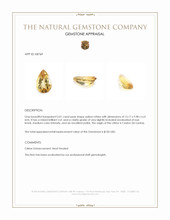 5.01 Ct. Citrine from Ceylon (Sri Lanka) Appraisal