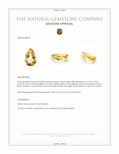 4.88 Ct. Citrine from Ceylon (Sri Lanka) Appraisal