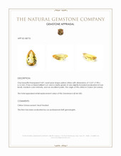 4.81 Ct. Yellow Citrine from Ceylon (Sri Lanka) Appraisal