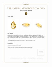 4.16 Ct. Citrine from Ceylon (Sri Lanka) Appraisal