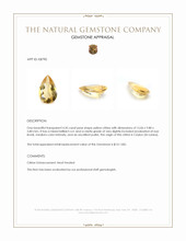 4.35 Ct. Citrine from Ceylon (Sri Lanka) Appraisal