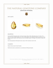 4.05 Ct. Citrine from Ceylon (Sri Lanka) Appraisal