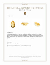 5.11 Ct. Citrine from Ceylon (Sri Lanka) Appraisal