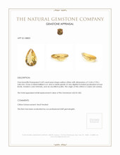 4.49 Ct. Citrine from Ceylon (Sri Lanka) Appraisal