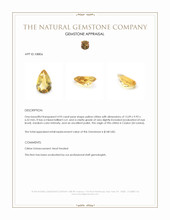 4.93 Ct. Citrine from Ceylon (Sri Lanka) Appraisal