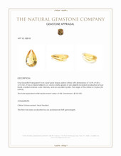 4.46 Ct. Citrine from Ceylon (Sri Lanka) Appraisal