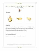 4.46 Ct. Citrine from Ceylon (Sri Lanka) Appraisal